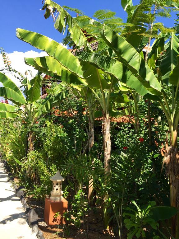 Mahogany Cottage Gili Meno Εξωτερικό φωτογραφία