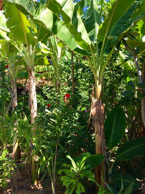 Mahogany Cottage Gili Meno Εξωτερικό φωτογραφία