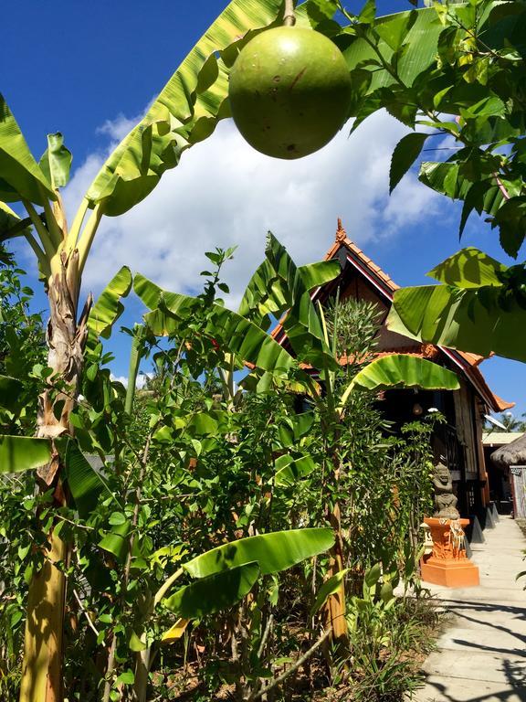 Mahogany Cottage Gili Meno Εξωτερικό φωτογραφία